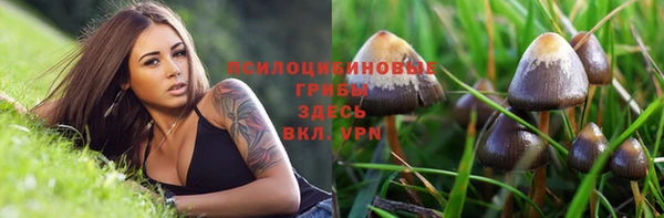 хмурый Абаза