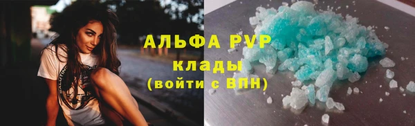 хмурый Абаза