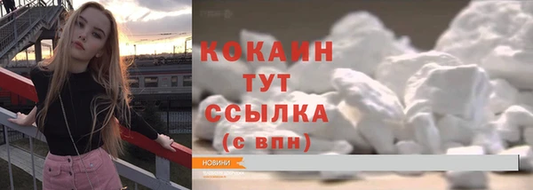 хмурый Абаза
