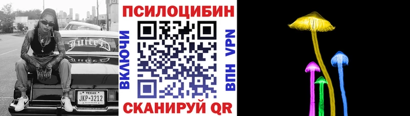 где продают наркотики  Норильск  Псилоцибиновые грибы Magic Shrooms 
