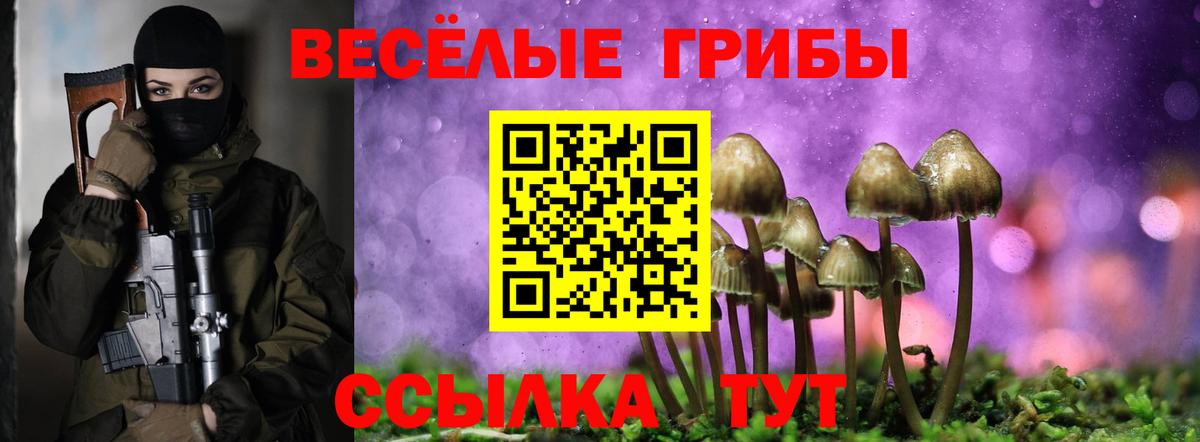 Галлюциногенные грибы Magic Shrooms  Вход с VPN  Норильск 